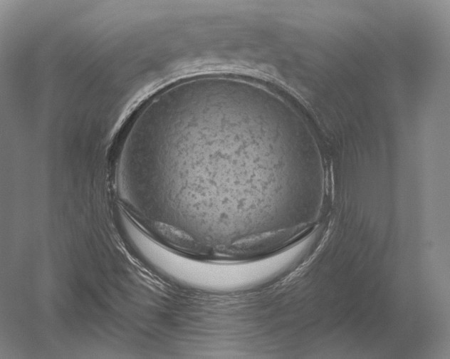 X0000052641501200507081952