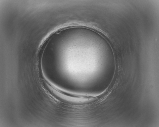 X0000052641502200507081952