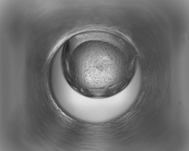 X0000052641504200507081952