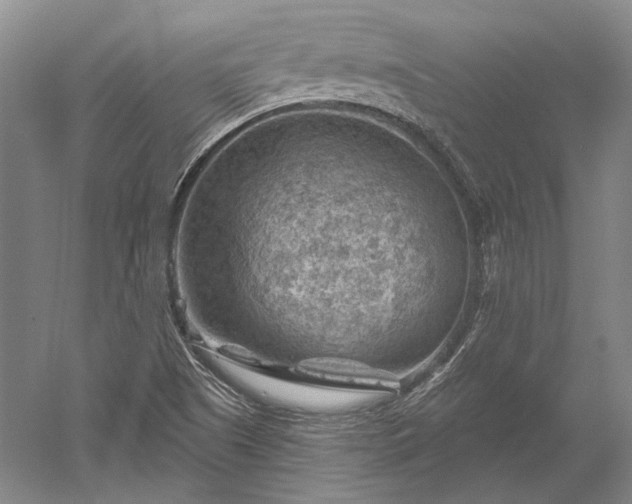 X0000052641505200507081952