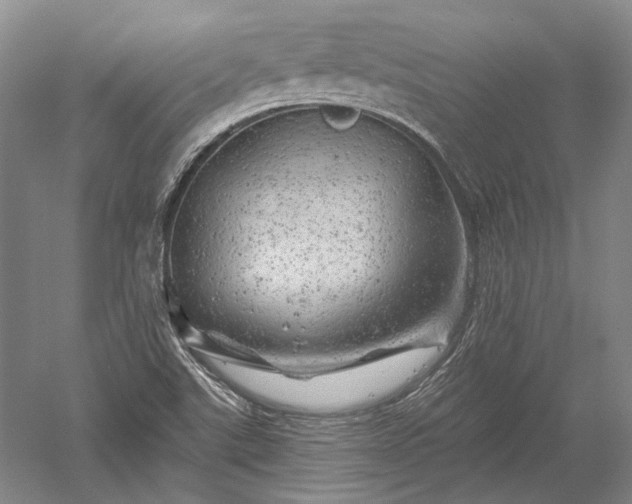 X0000052641507200507081952