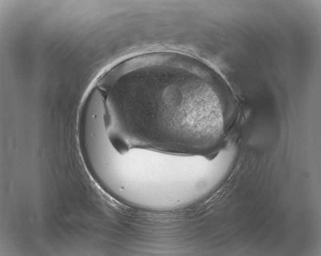 X0000052641508200507081952