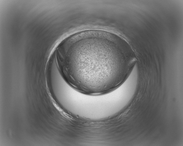 X0000052641511200507081952