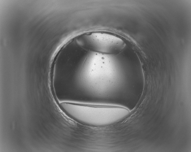 X0000052641512200507081952