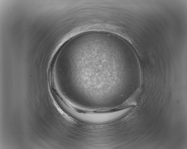 X0000052641515200507081952