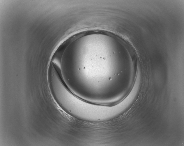 X0000052641516200507081952