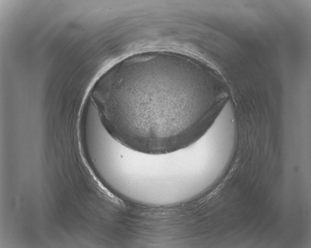 X0000052641517200507081952