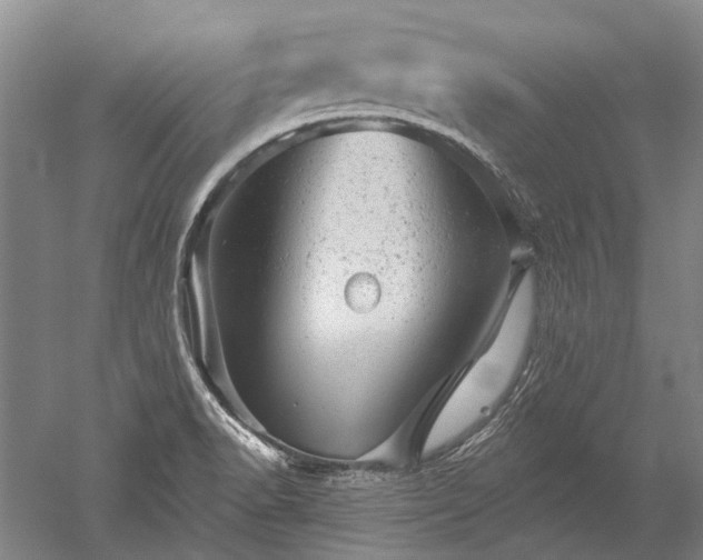 X0000052641518200507081952