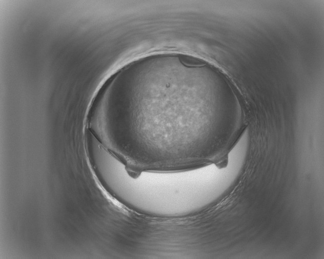 X0000052641519200507081952