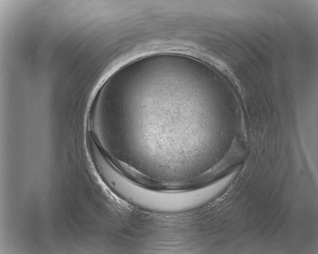 X0000052641520200507081952