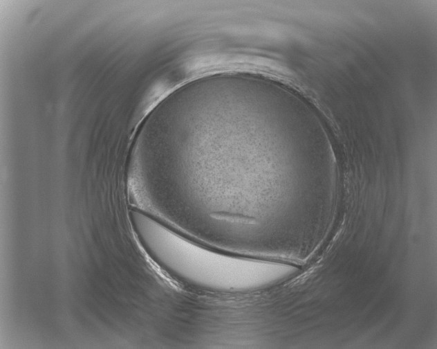 X0000052641521200507081952