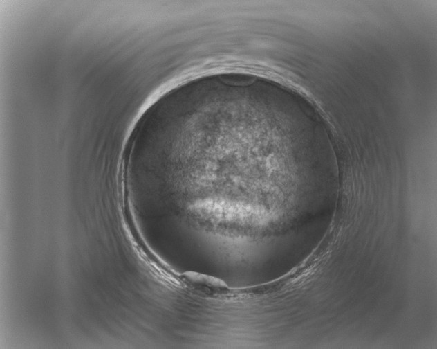 X0000052641522200507081952