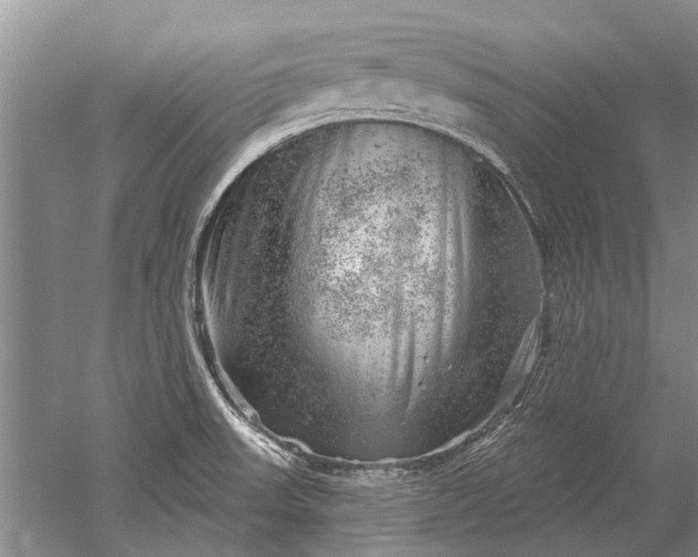 X0000052641523200507081952