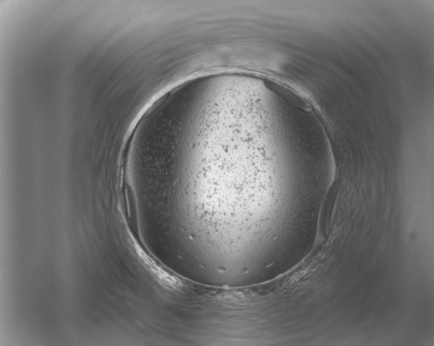 X0000052641524200507081952