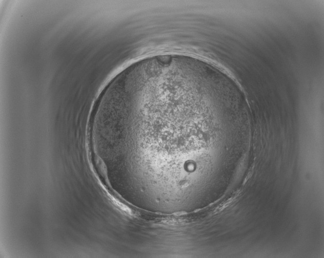 X0000052641525200507081952