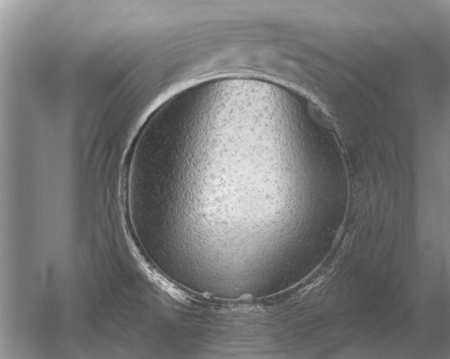 X0000052641526200507081952