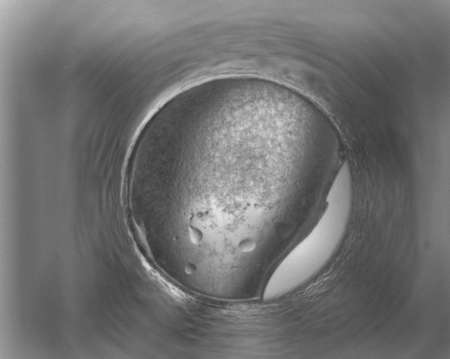 X0000052641527200507081952