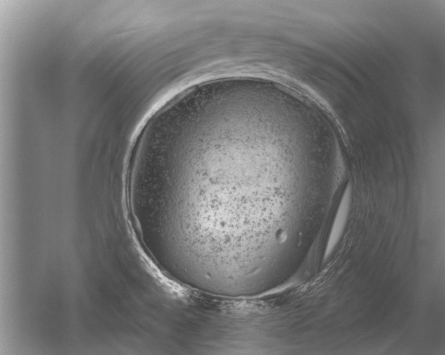 X0000052641528200507081952