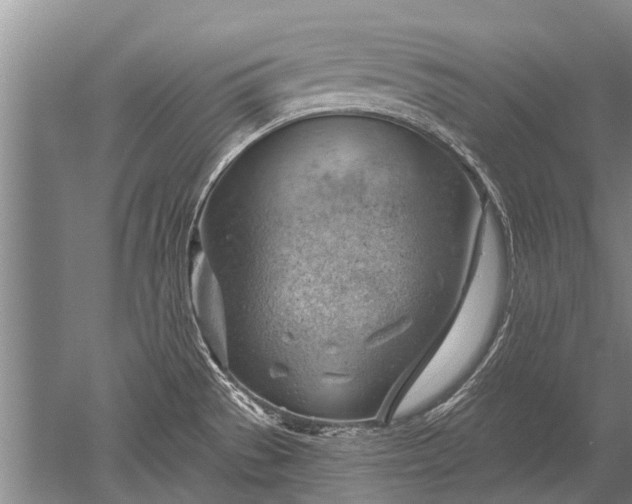 X0000052641529200507081952