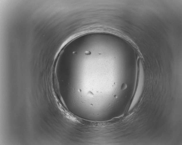 X0000052641530200507081952