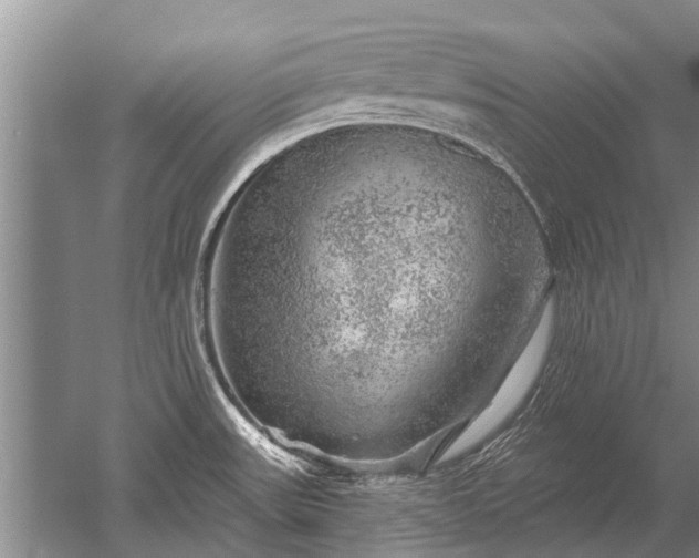 X0000052641531200507081952