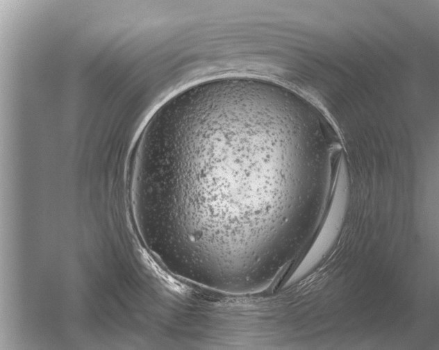 X0000052641532200507081952