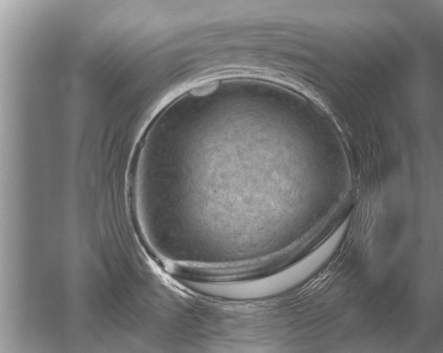 X0000052641535200507081952