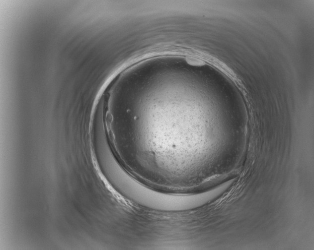 X0000052641536200507081952