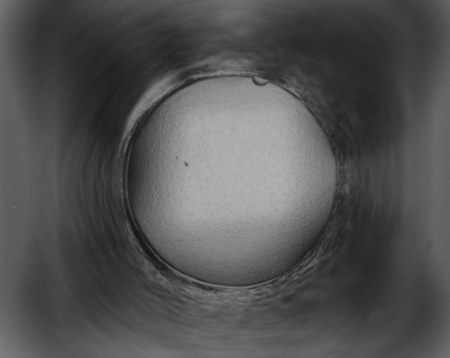 X0000052640004200507160209