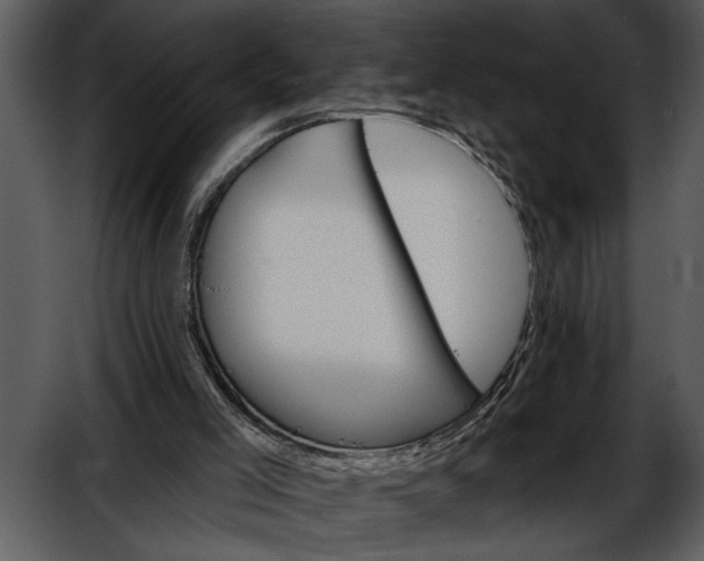 X0000052640005200507160209