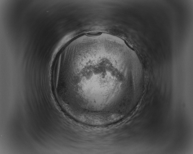 X0000052640006200507160209