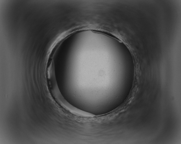 X0000052640007200507160209