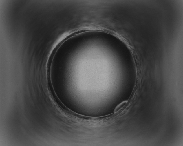 X0000052640008200507160209