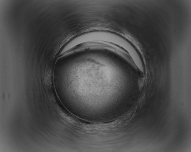 X0000052640009200507160209