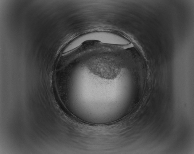 X0000052640010200507160209