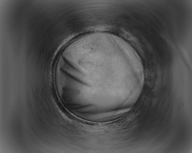 X0000052640012200507160209