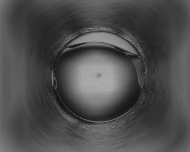 X0000052640013200507160209