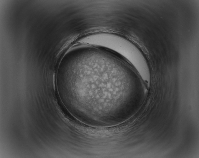 X0000052640014200507160209