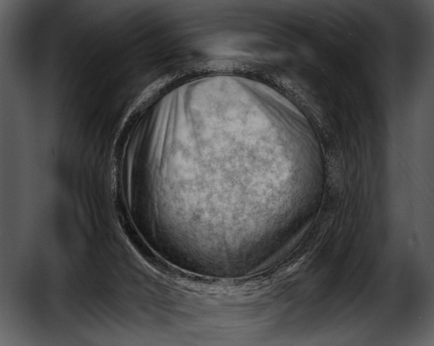 X0000052640016200507160209