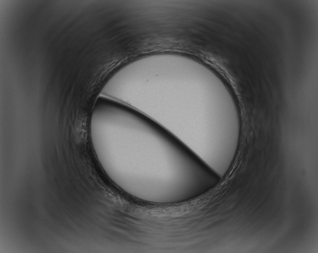 X0000052640017200507160209