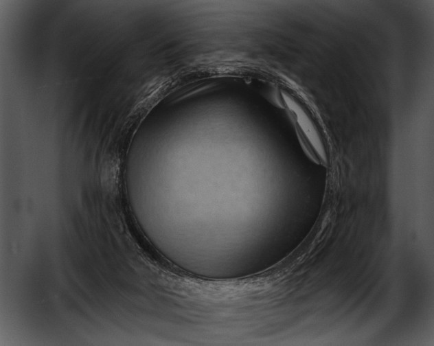 X0000052640018200507160209