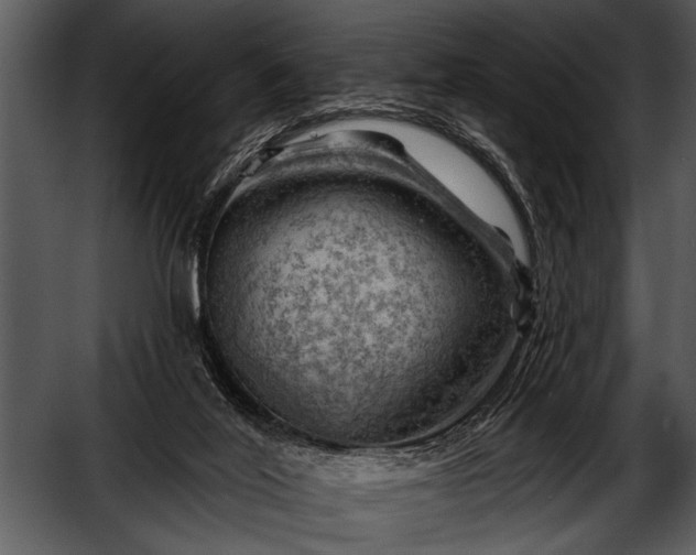 X0000052640020200507160209