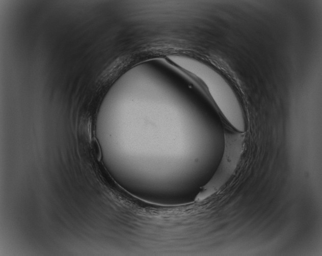 X0000052640021200507160209