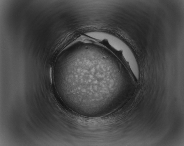 X0000052640022200507160209