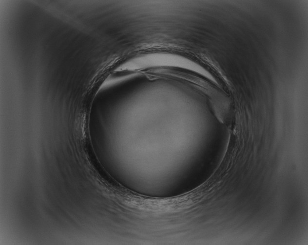 X0000052640023200507160209