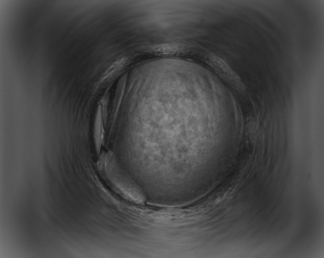 X0000052640024200507160208