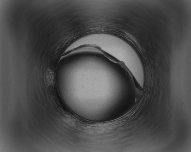 X0000052640025200507160208