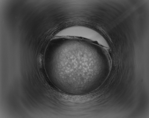 X0000052640026200507160208