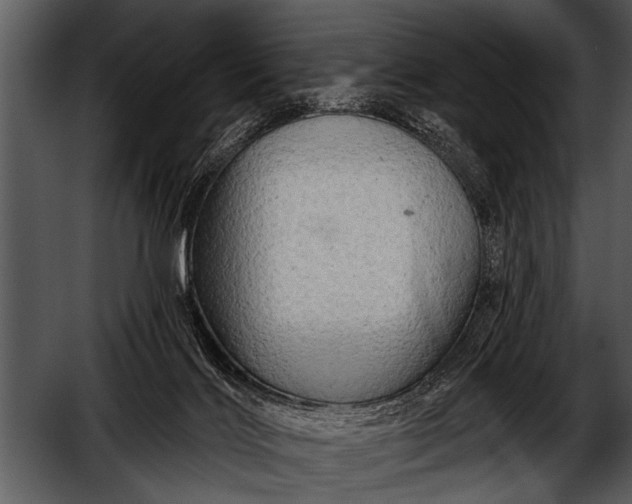 X0000052640028200507160208