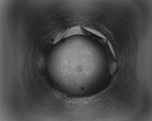 X0000052640029200507160208